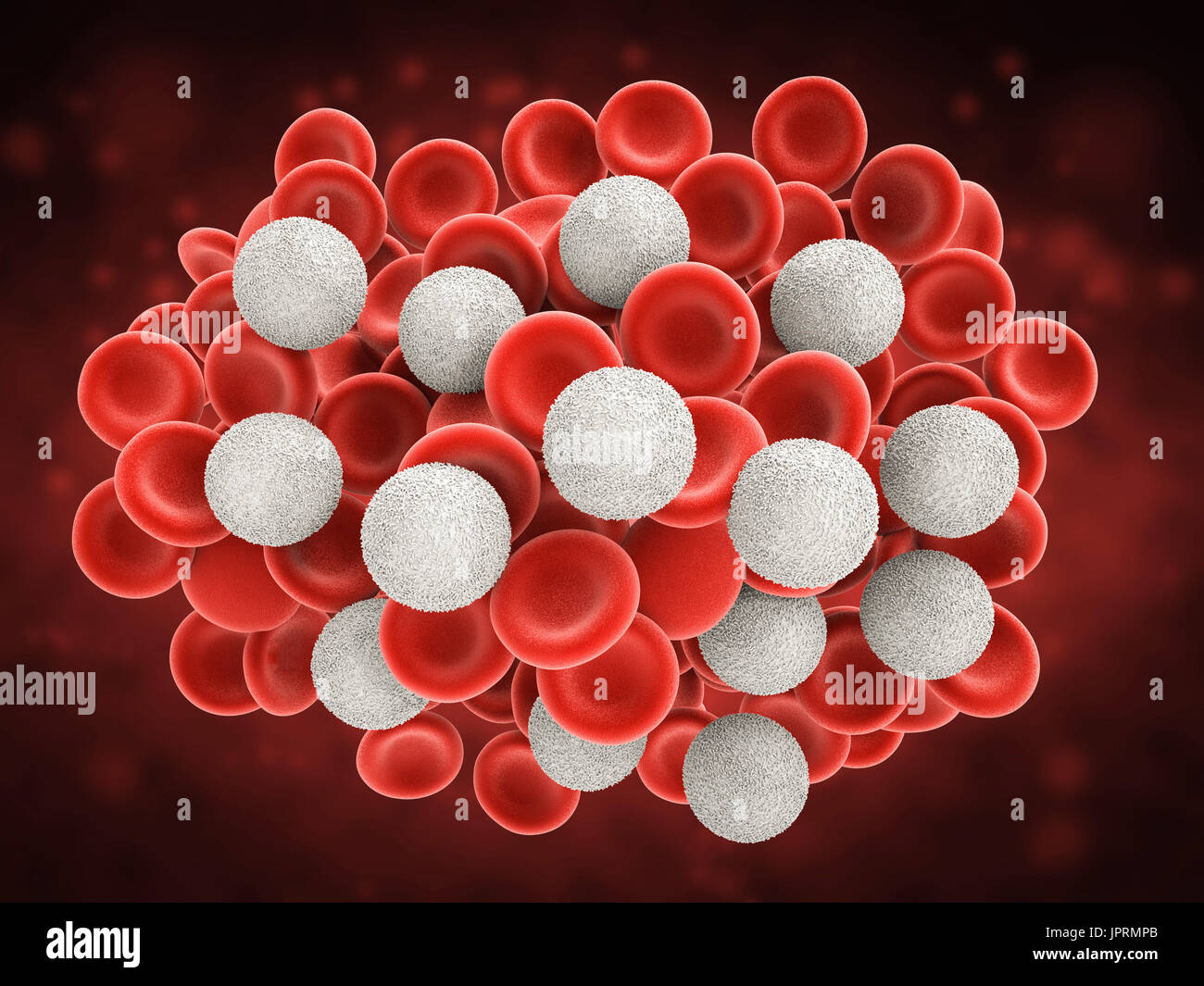 3d rendering white blood cells with red blood cells Stock Photo - Alamy