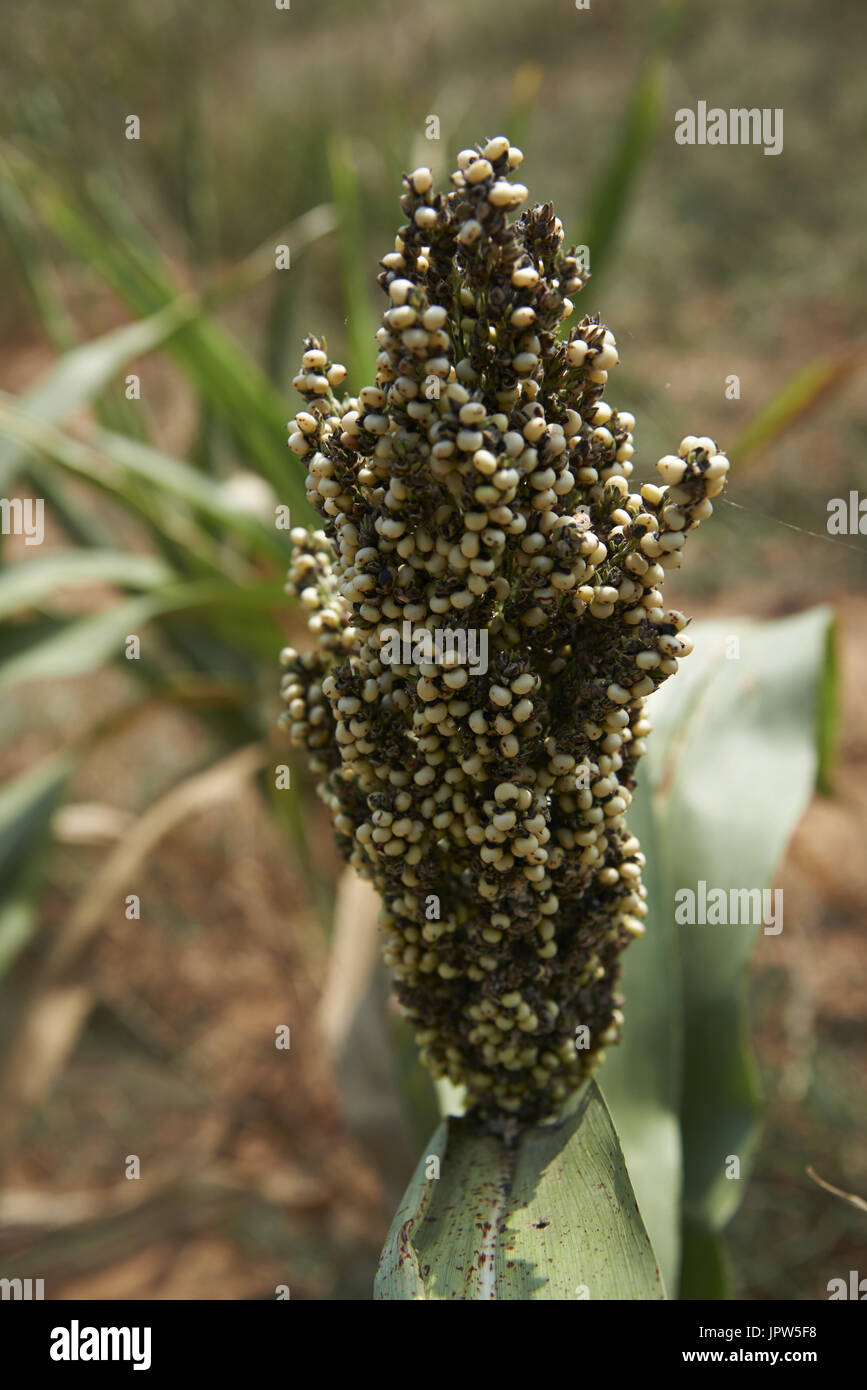 Kinmen & Matsu Stock Photo Alamy