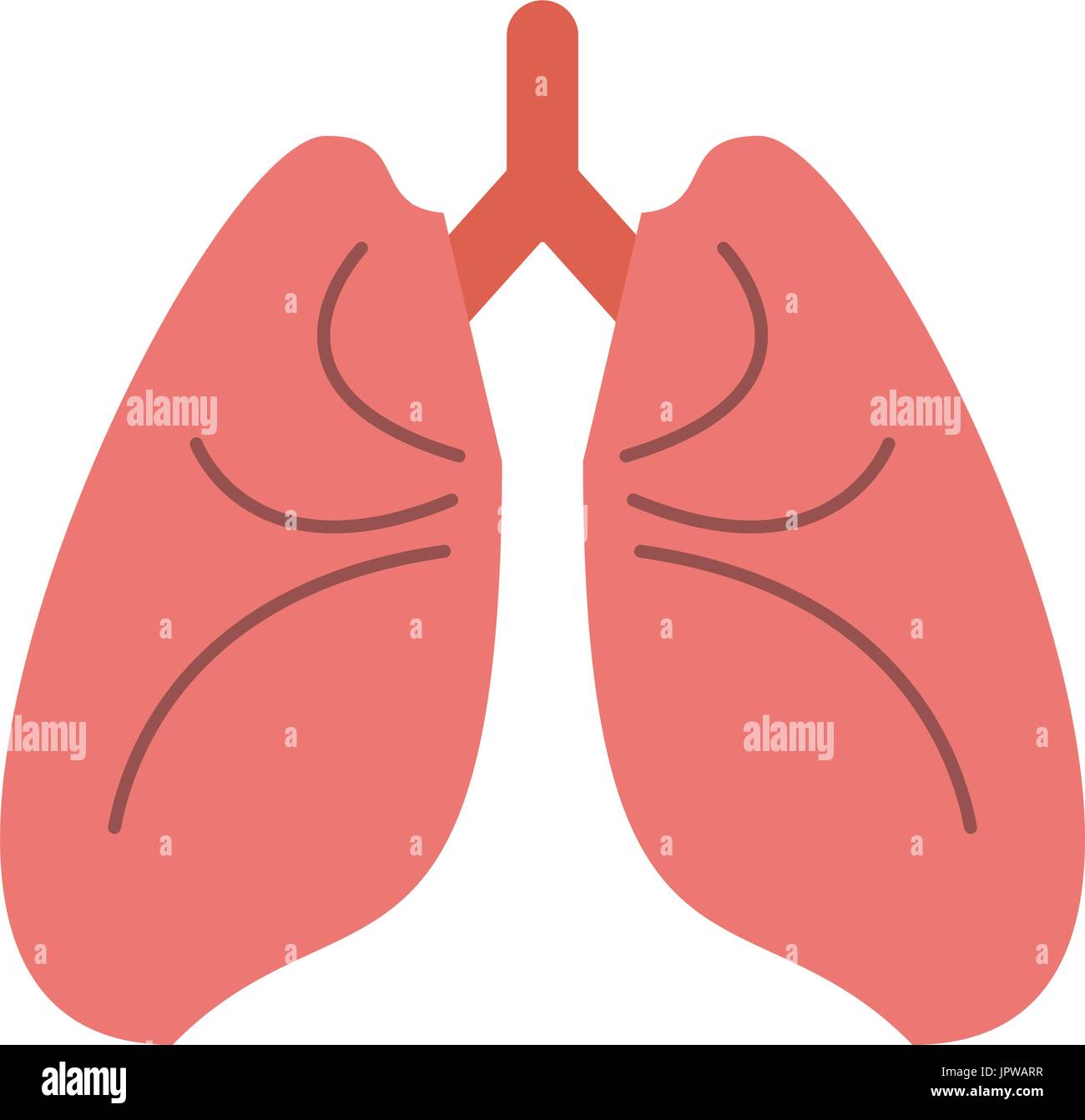 lungs cartoon icon image Stock Vector Image & Art - Alamy