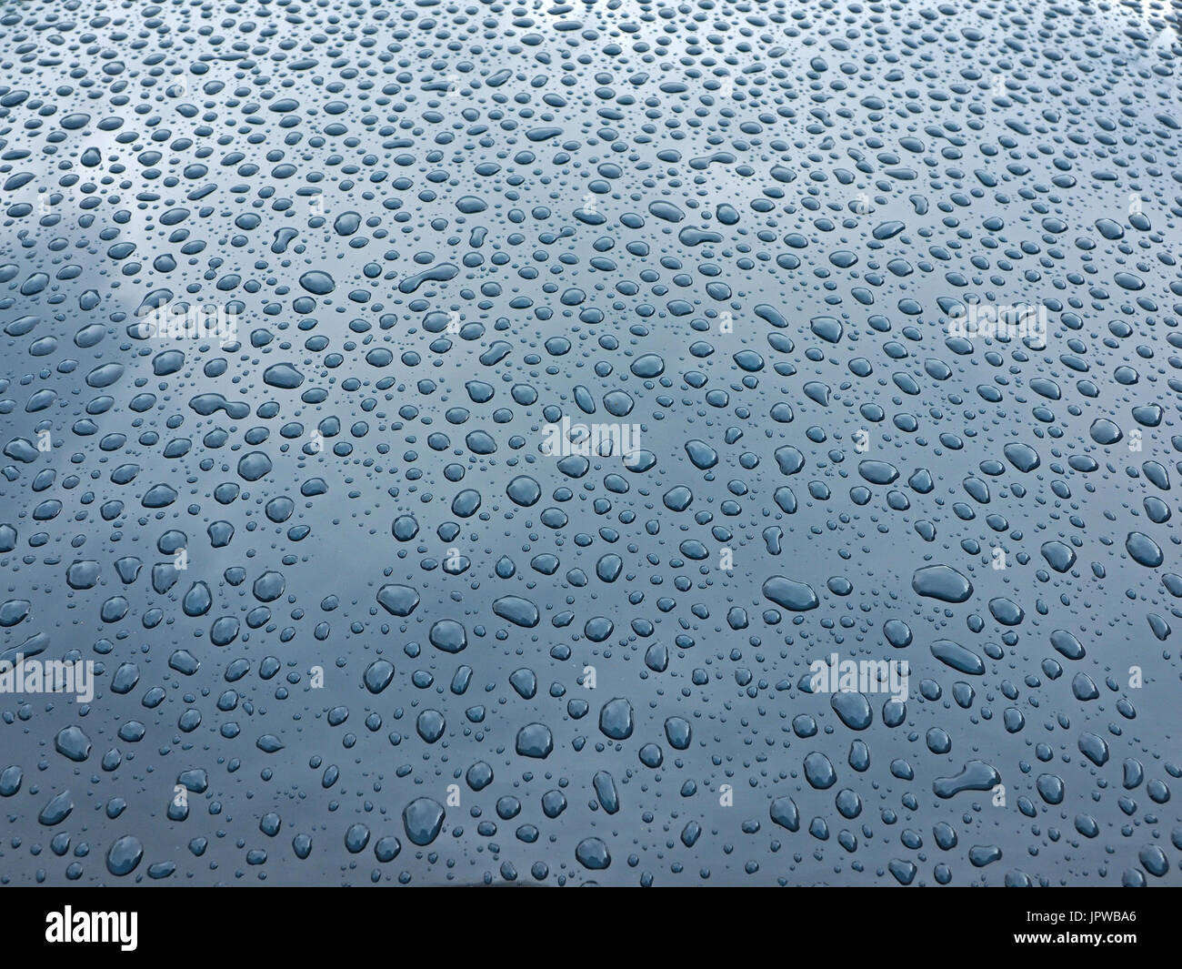raindrops on pristine duck egg blue paintwork of classic car Stock Photo