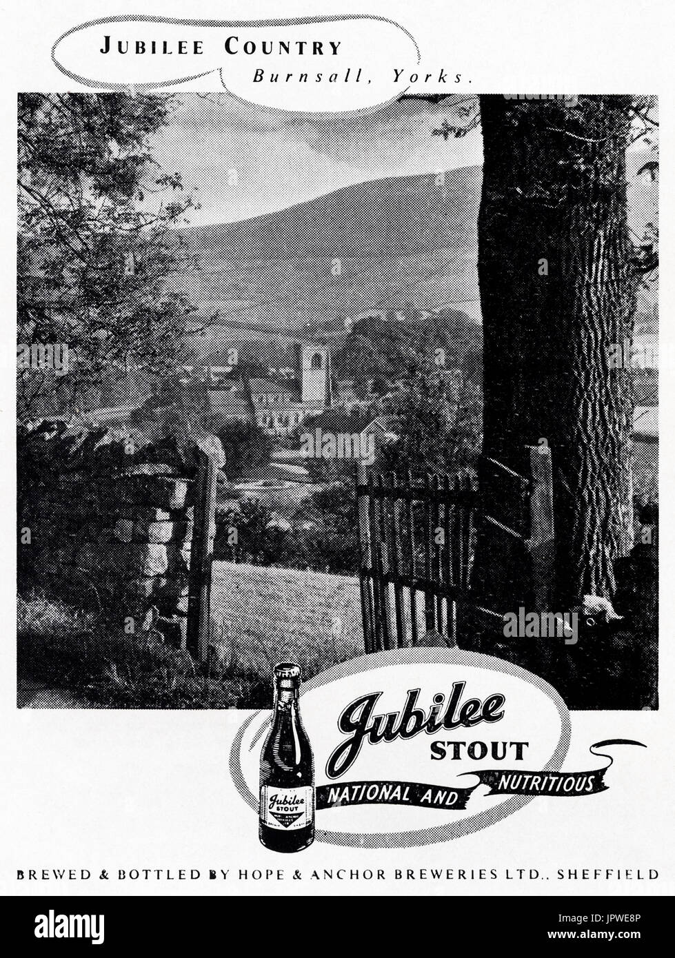 1950s old vintage original retro advert advertising Jubilee Stout by Hope & Anchor Brewery of Sheffield England UK in magazine circa 1950 Stock Photo