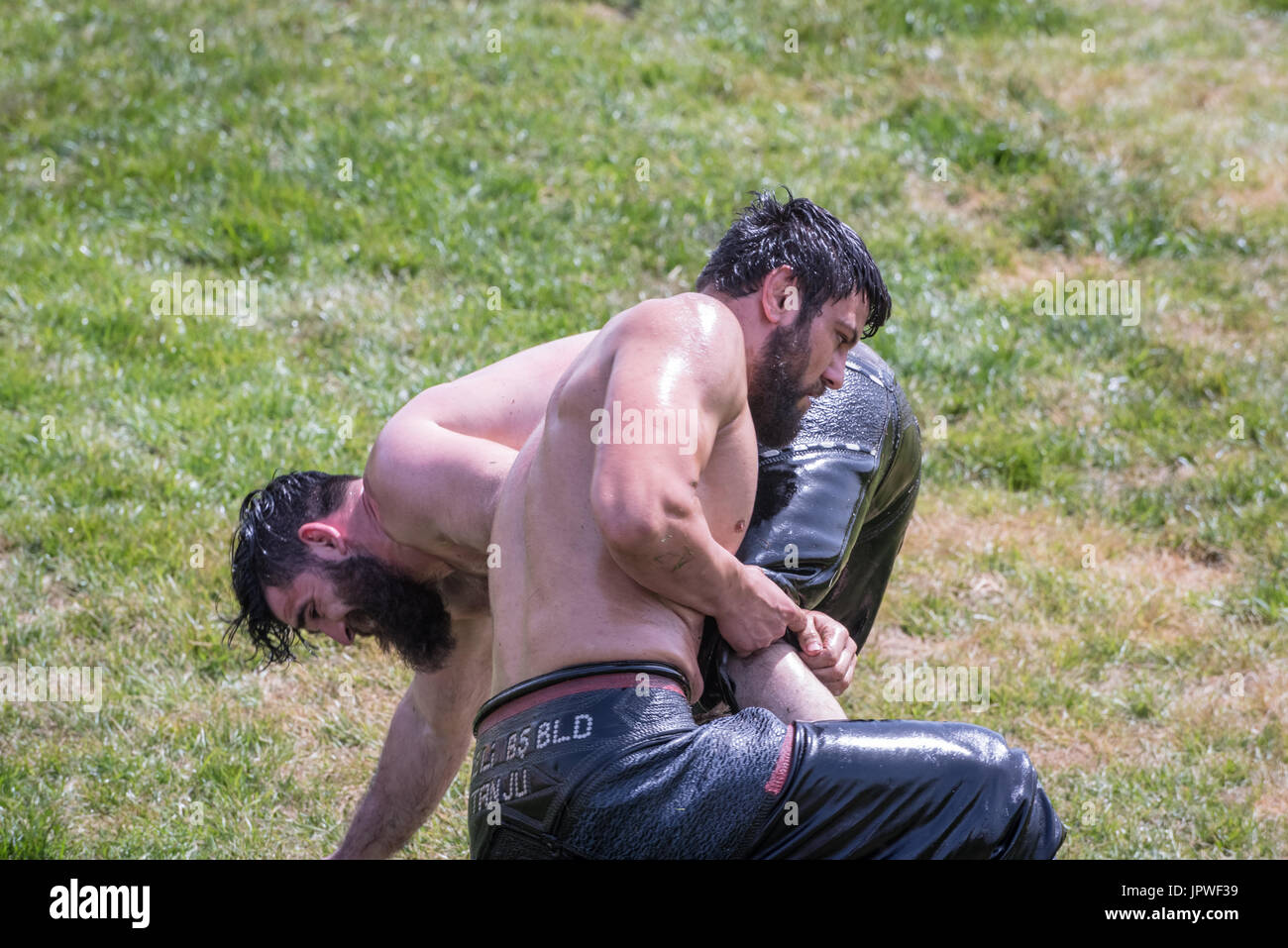 Muscle Oil Wrestling