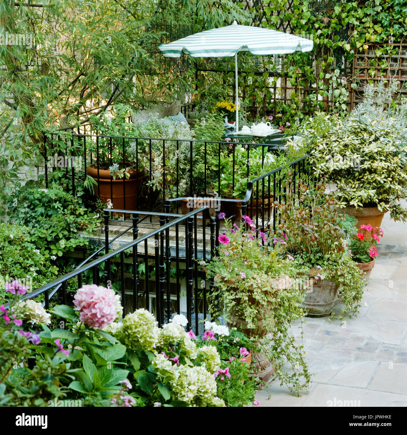 Pot plant courtyard hires stock photography and images Alamy