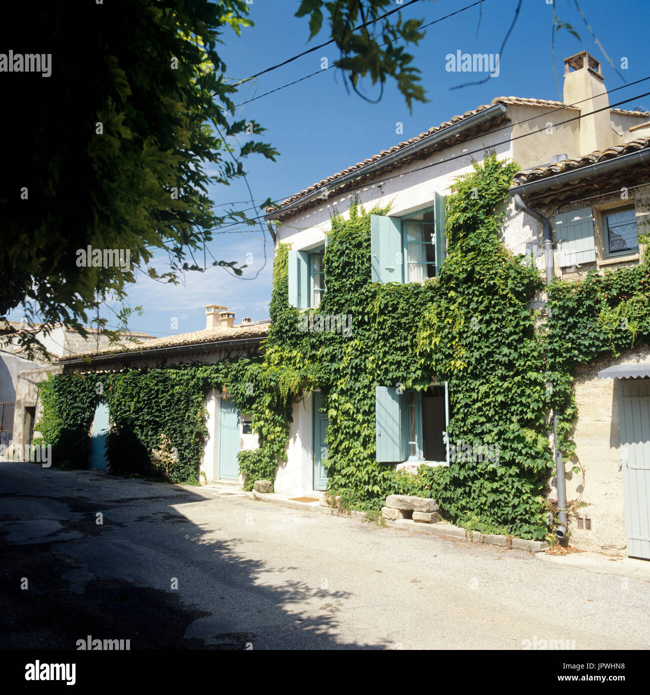 House covered in vines Stock Photo Alamy