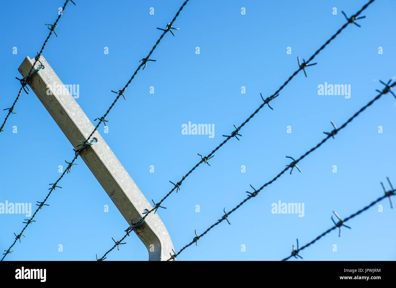 Coiled razor wire with its sharp steel barbs on top of a mesh perimeter ...