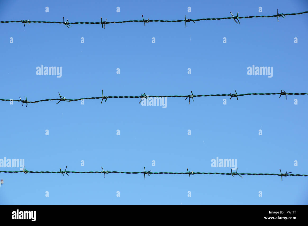Coiled razor wire with its sharp steel barbs on top of a mesh perimeter fence ensuring safety and security, preventing access or the escape prisoners, Stock Photo