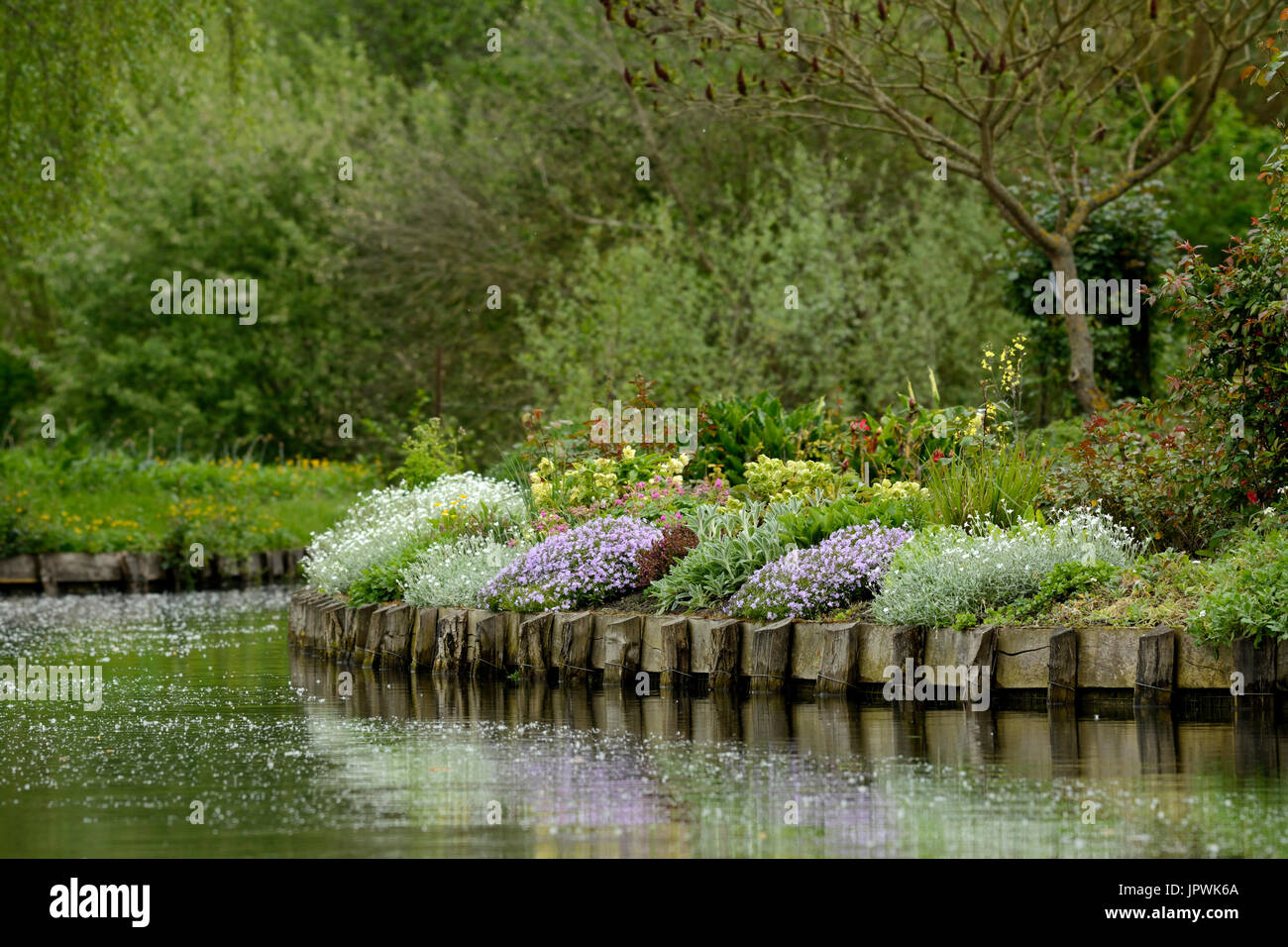 Floating gardens Hortillonnages of Amiens France Stock Photo Alamy