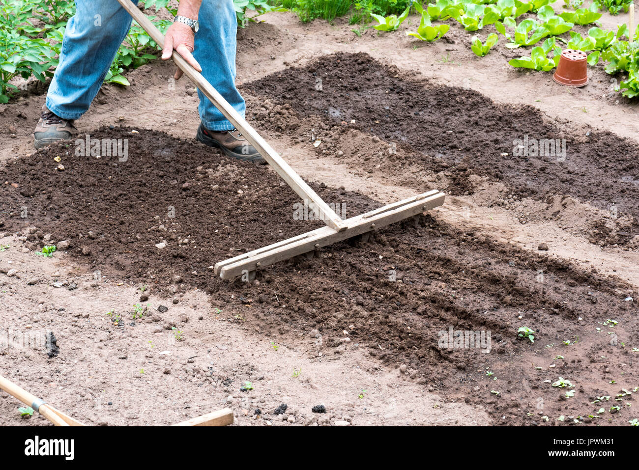 Sowing soil preparation in a kitchen garden Stock Photo Alamy