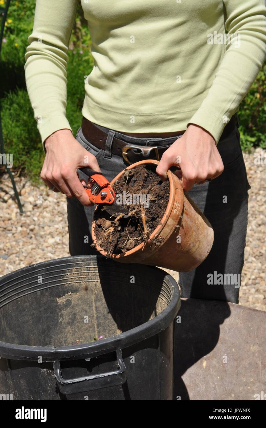 Cleaning of pots in a garden Stock Photo Alamy
