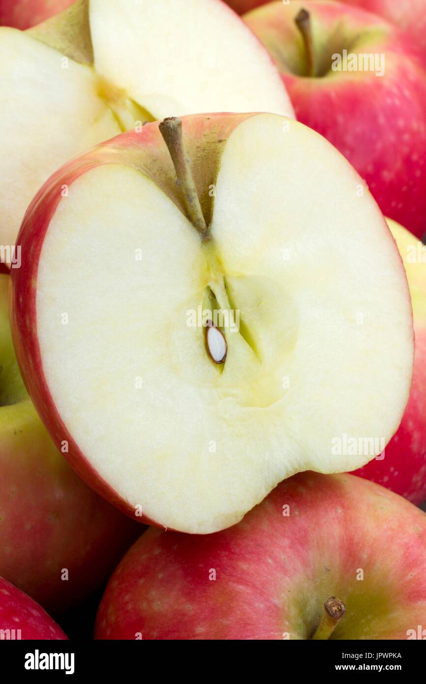 Apple 'Cripps Pink'. Nom commercial Pomme Pink Lady Stock Photo Alamy