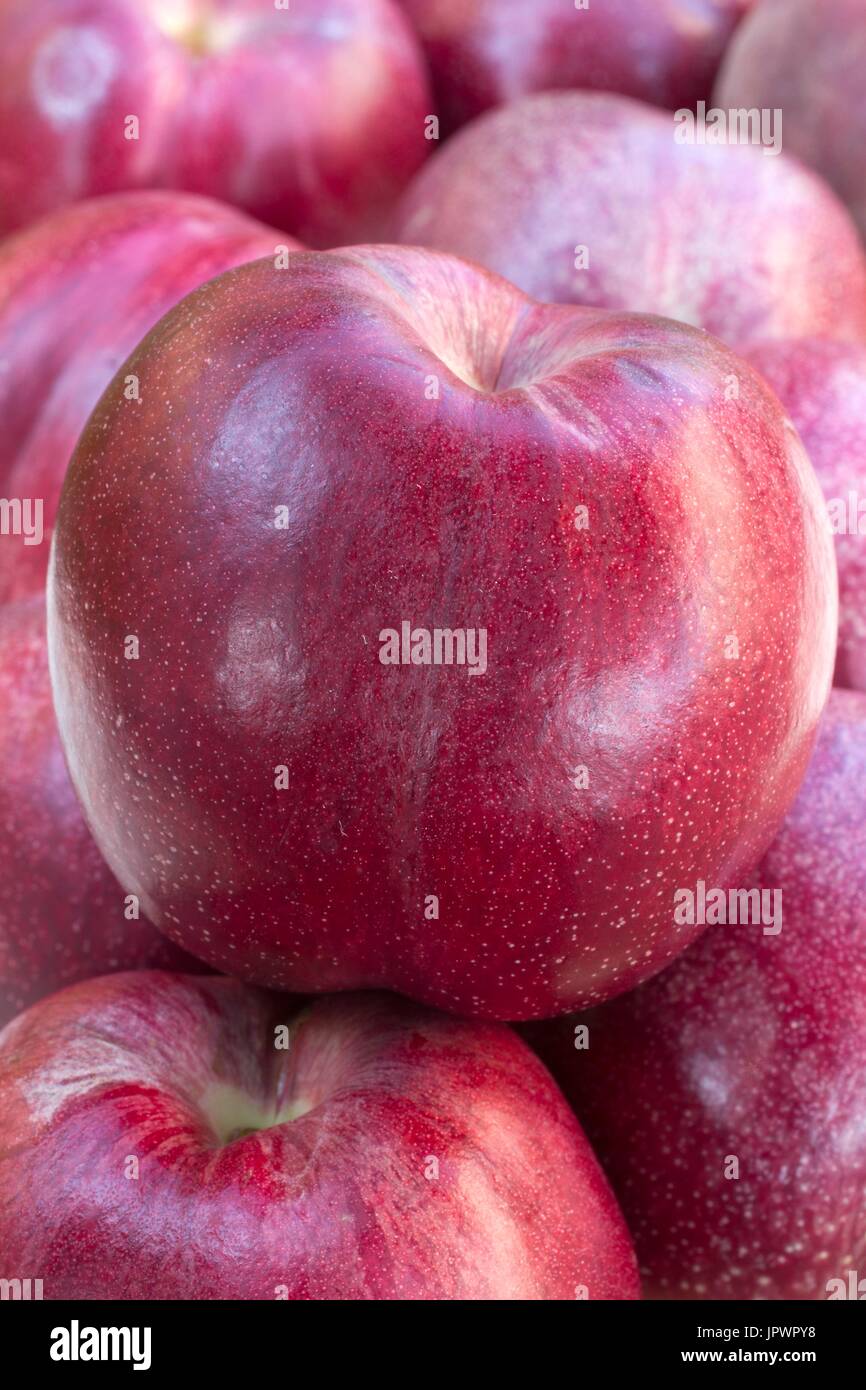 Nectavignes. Cross between vineyard peach and nectarine Stock Photo Alamy