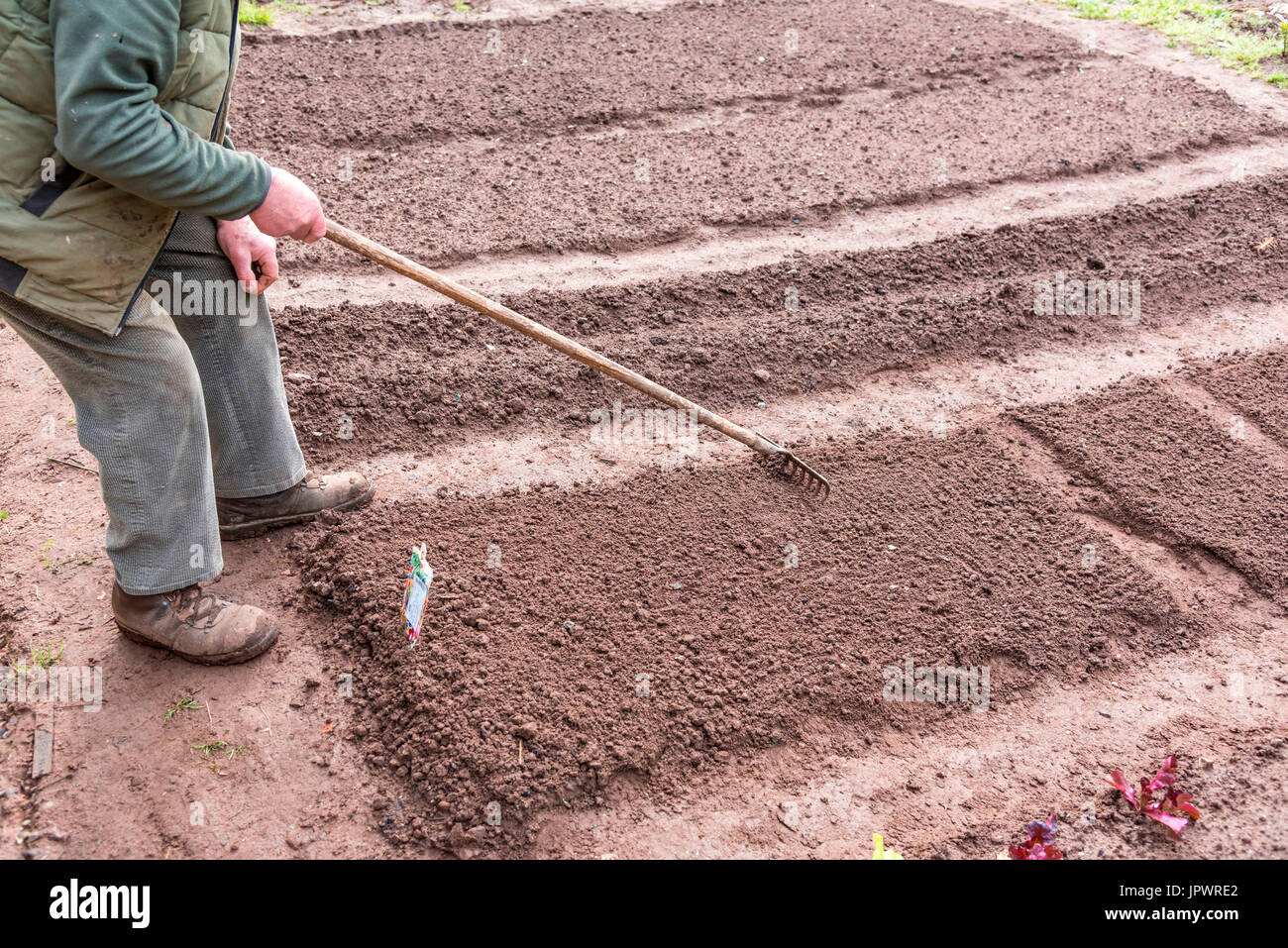 Preparing The Kitchen Garden Soil Before Sowing Stock Photo