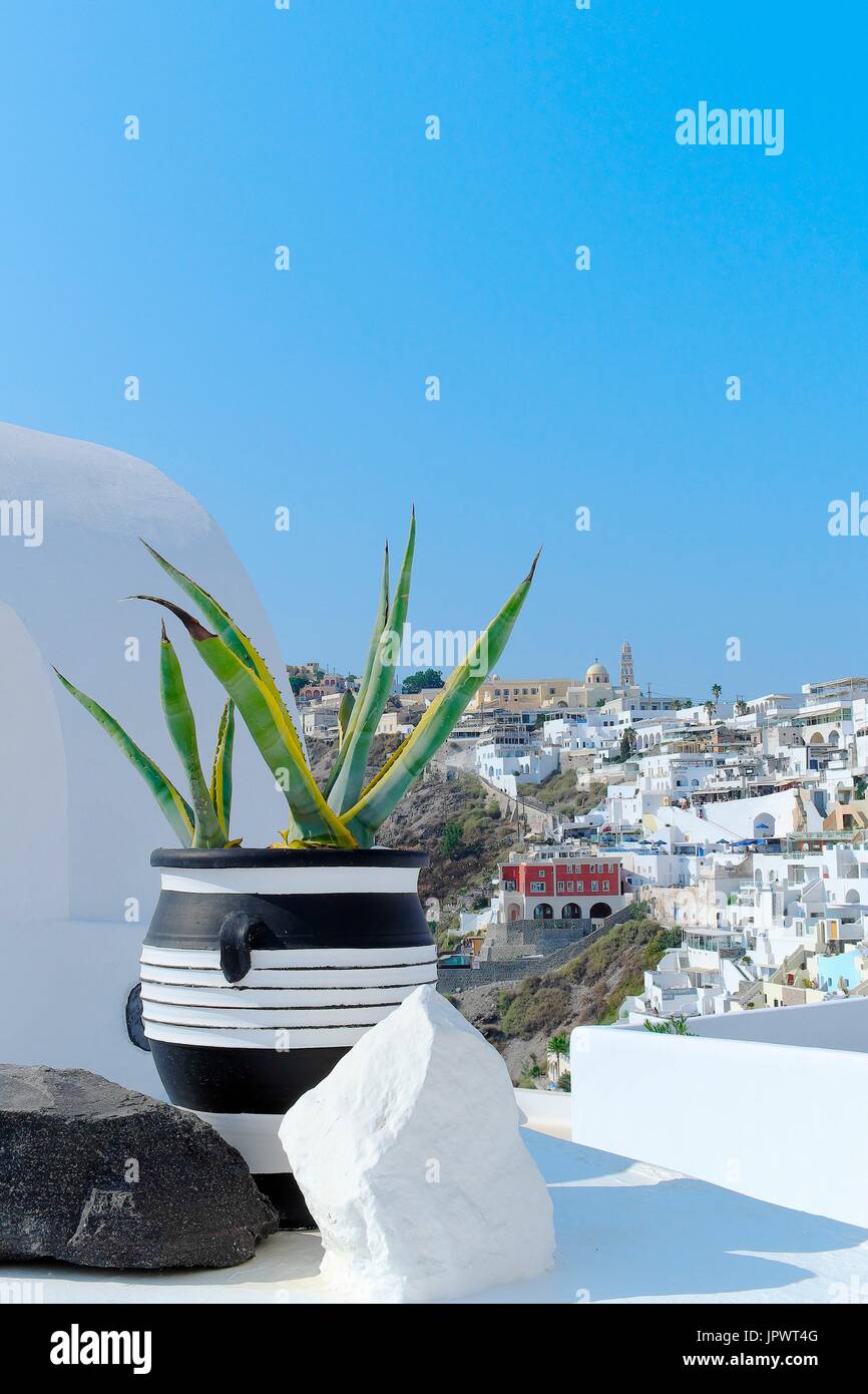 Aloe vera in pot and village of Fira in background, ambiance decoration,  Santorini Island, Cyclades, Greece Stock Photo - Alamy