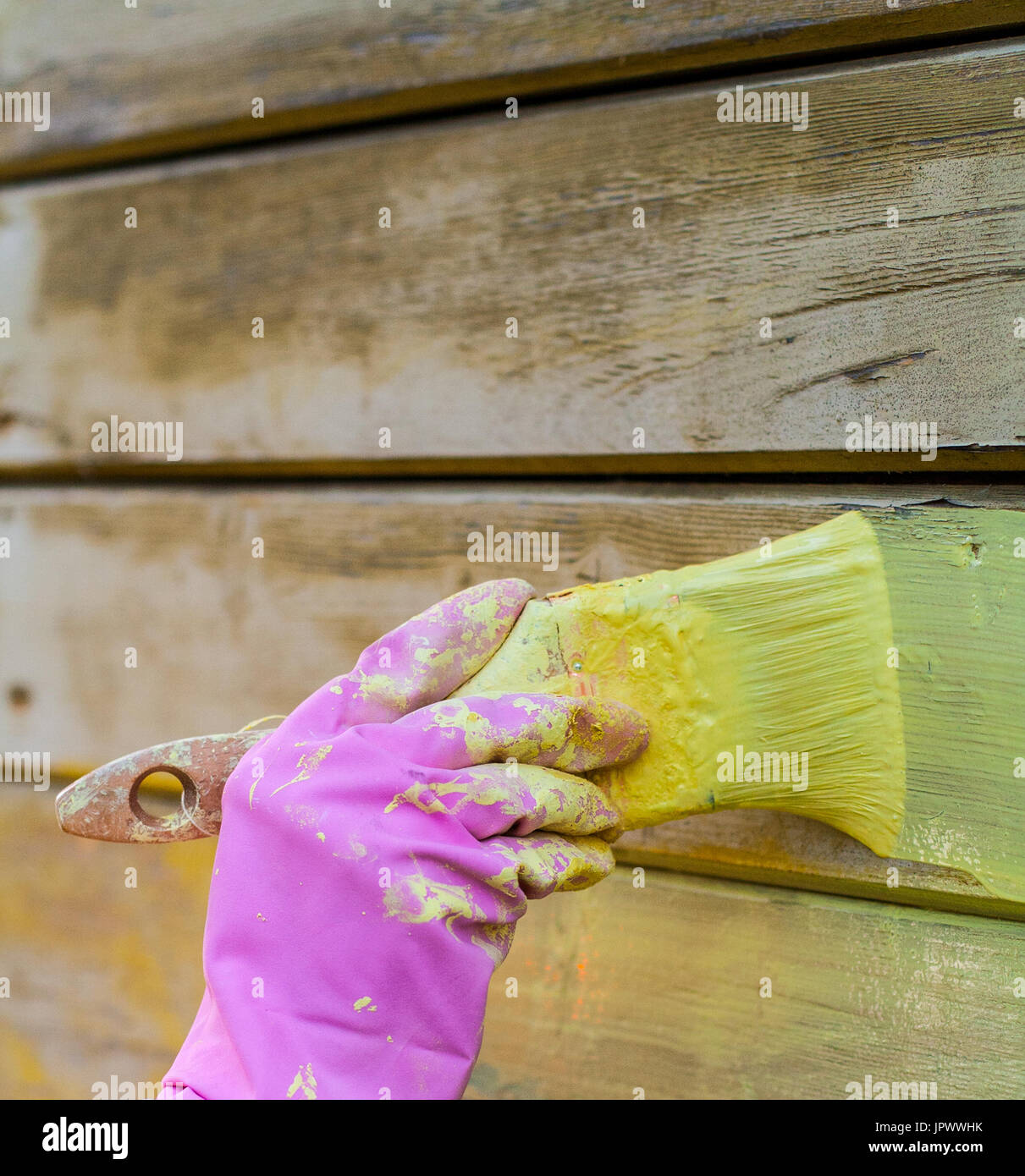 painter's hand in purple glove with brush. background, work Stock Photo