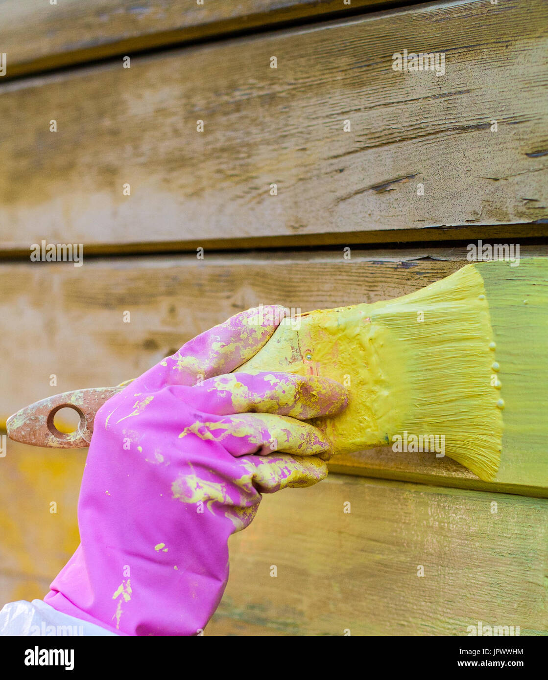 painter's hand in purple glove with brush. background, work Stock Photo