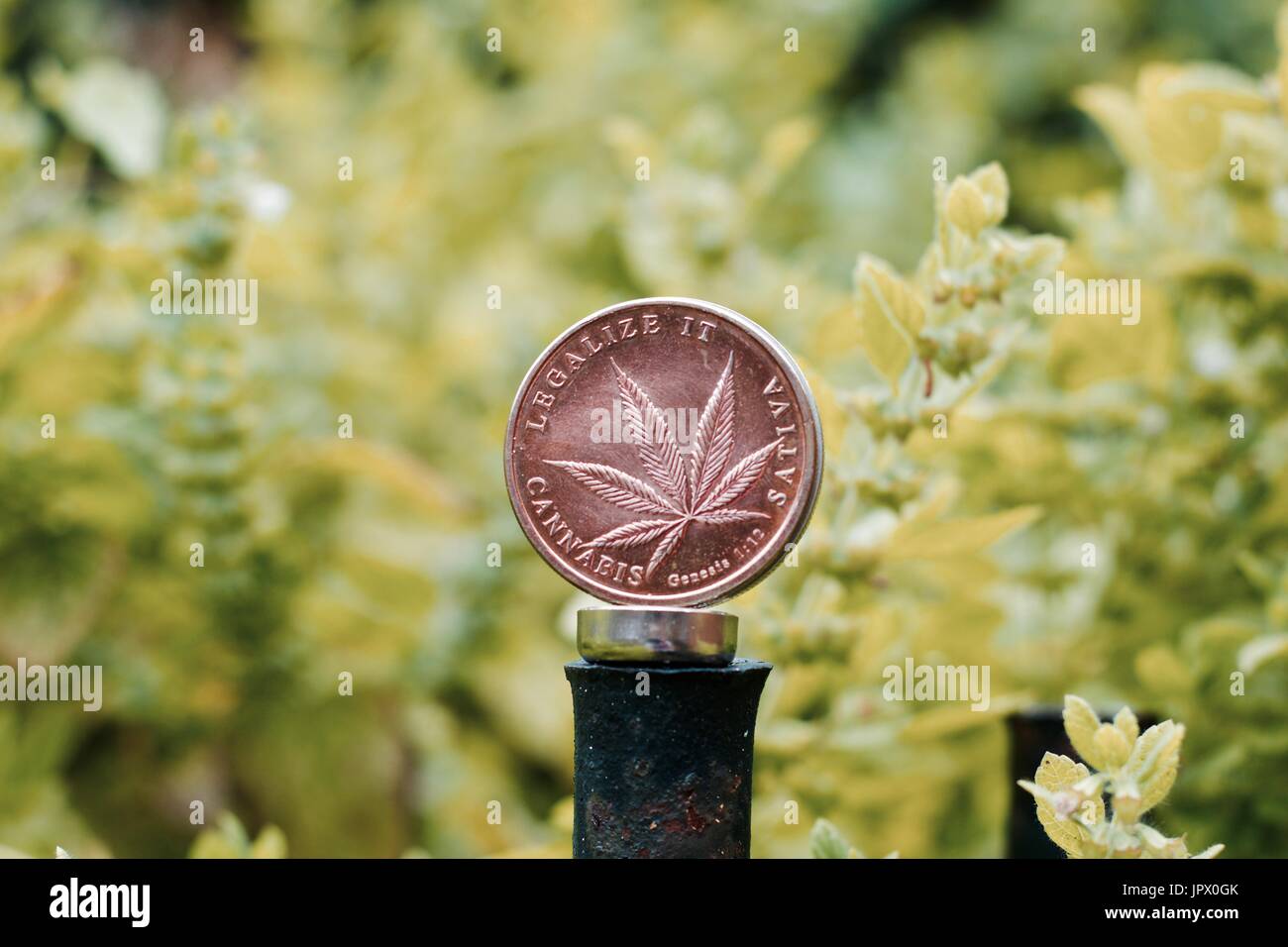 Cannabis coin hi-res stock photography and images - Alamy