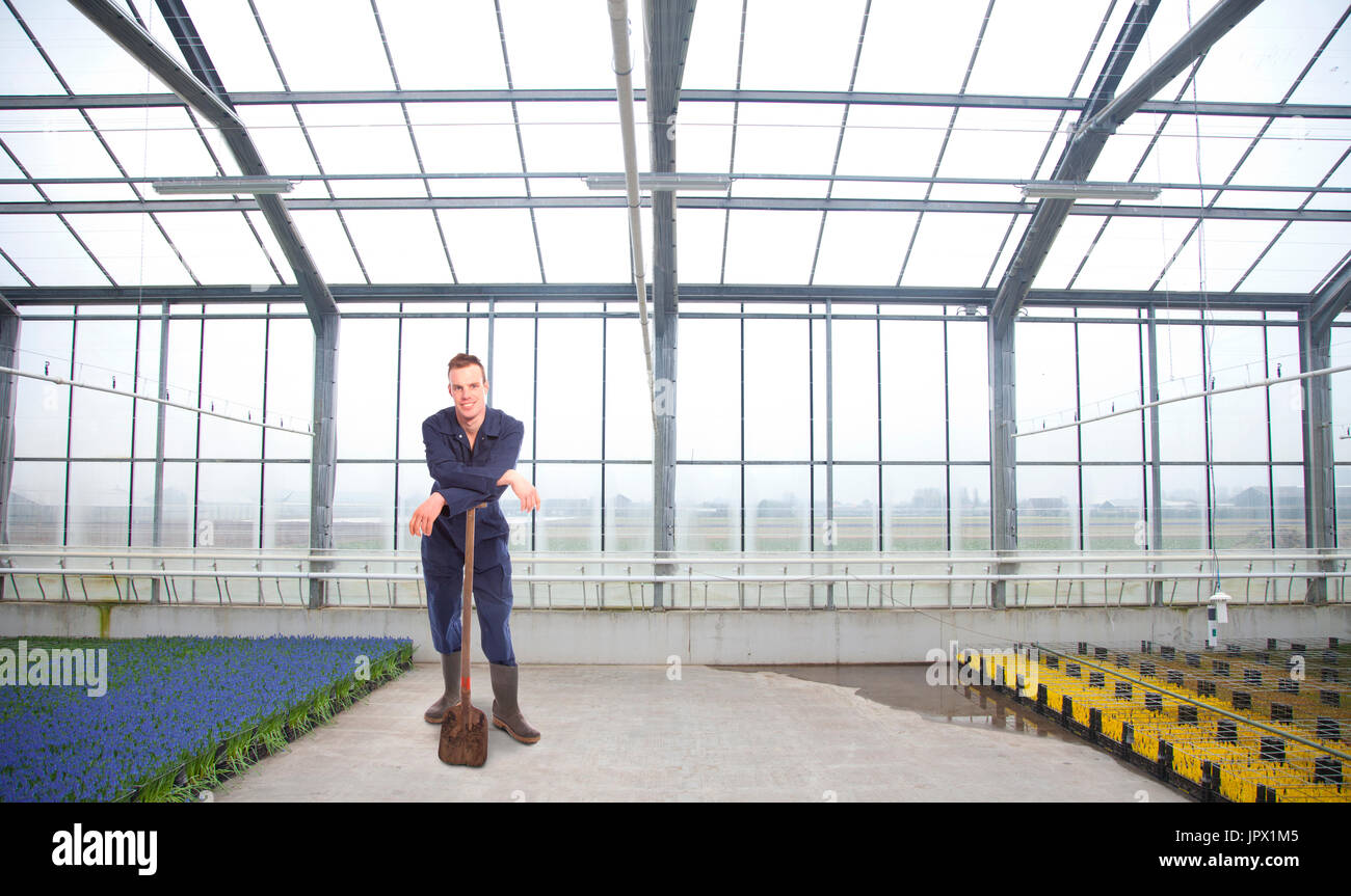 Young farmer inside a glass house with flowers Stock Photo