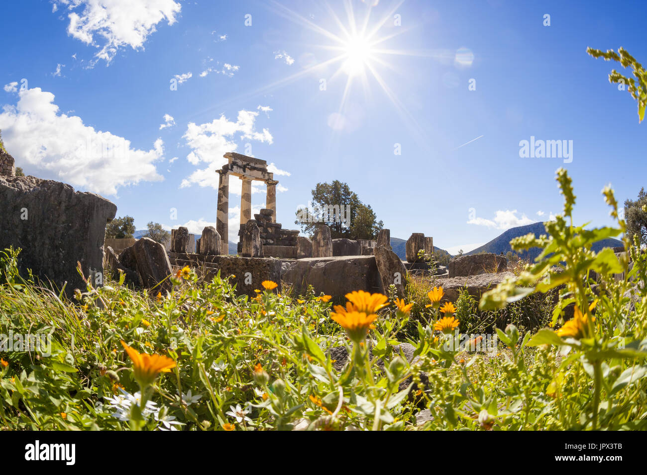 Treasure house delphi hires stock photography and images Alamy
