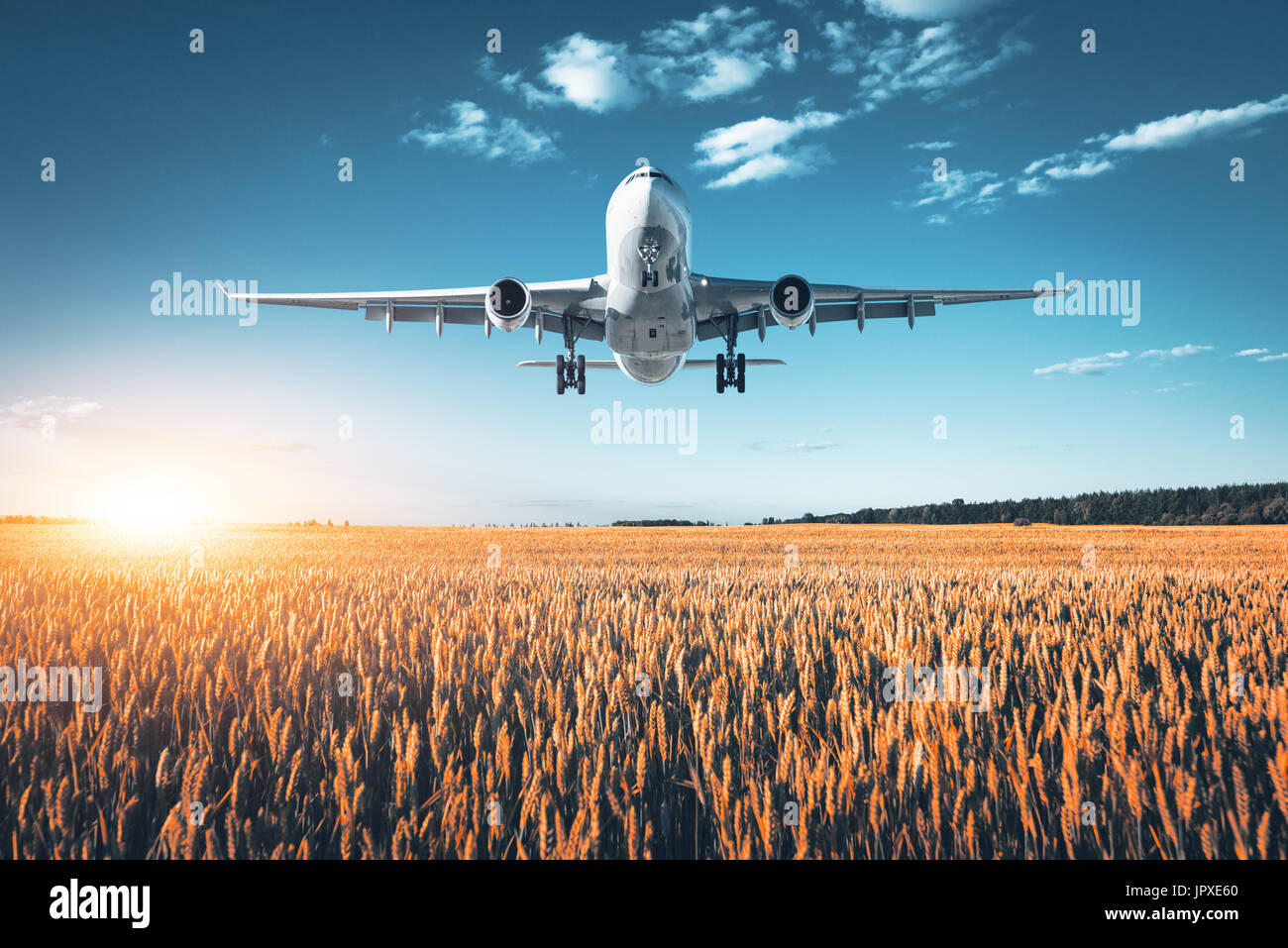 Amazing airplane. Landscape with big white passenger airplane is flying ...