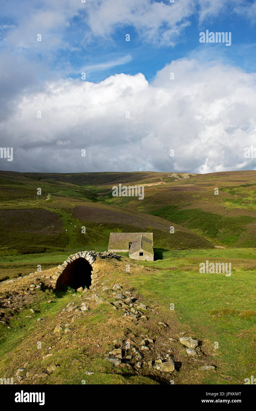 Lead-smelting mill, Grinton Moor, Swaledale, Yorkshire Dales National ...