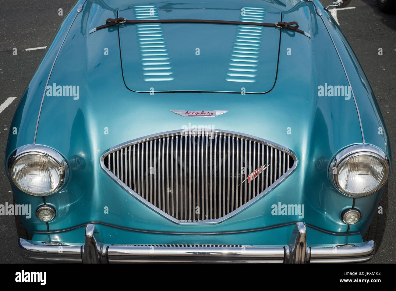 Lt Austin Healey 3000 car cut out lapel pin Blue