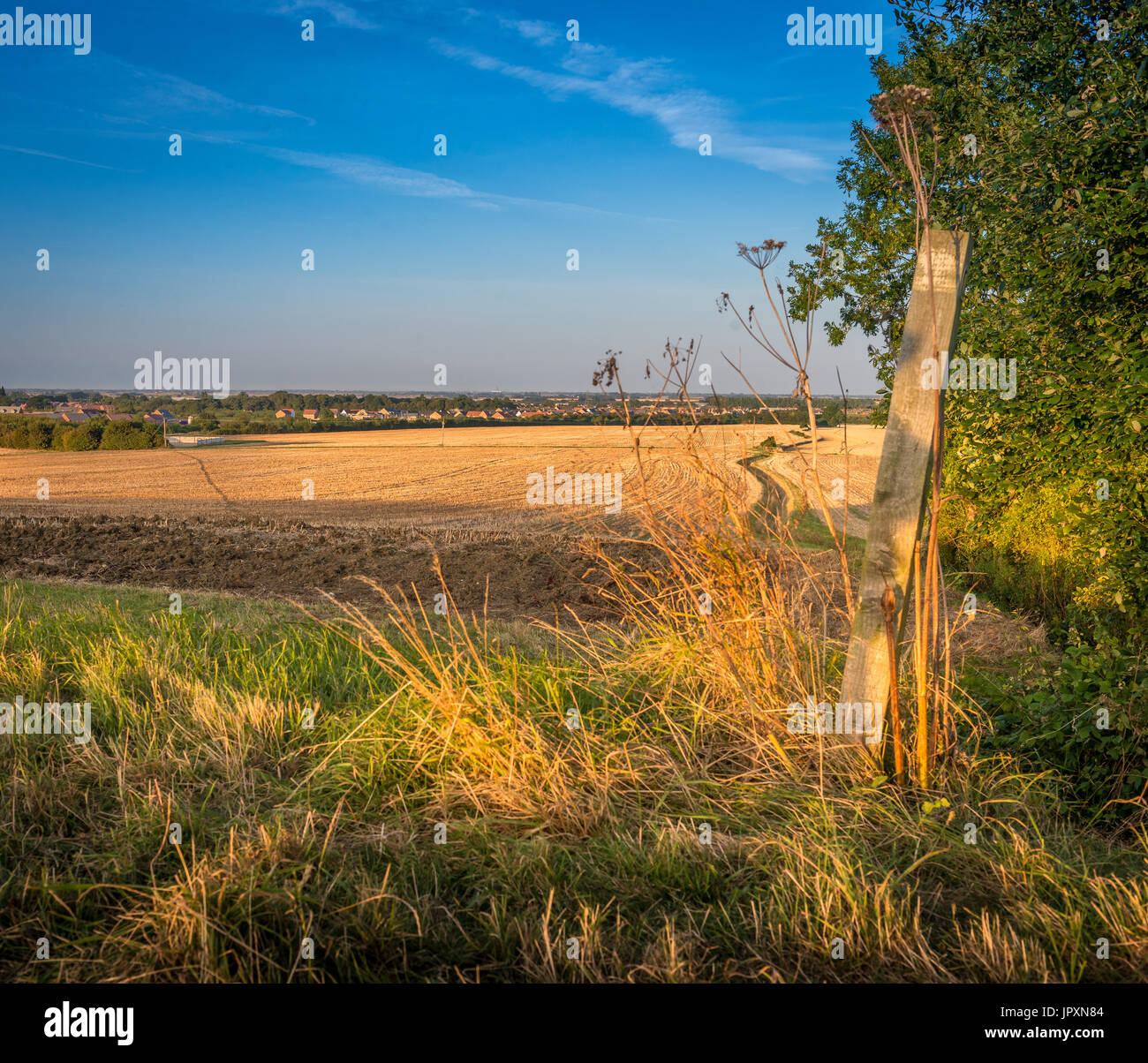 Early evening and the sun begins to set over farmed agricultural land in the Lincolnshire Fens Stock Photo