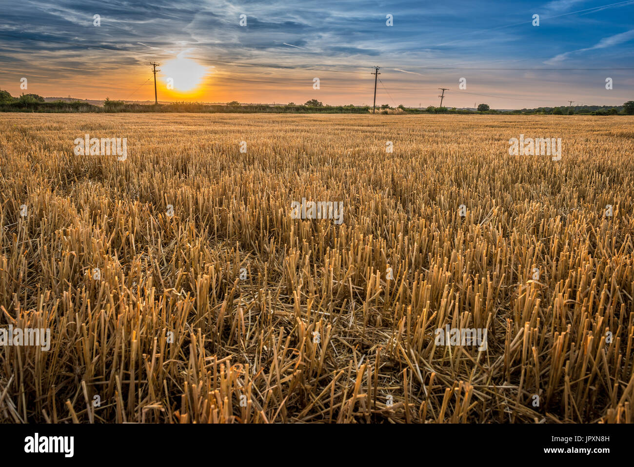 Early evening and the sun begins to set over farmed agricultural land in the Lincolnshire Fens Stock Photo