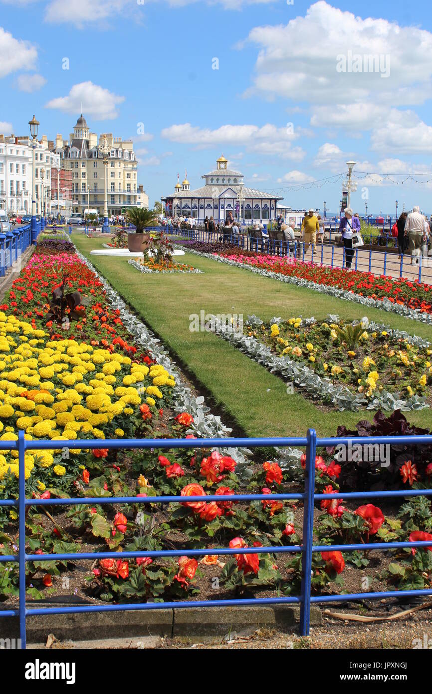 A SUNNY LANDSCAPE VIEW OF THE COLOURFUL CARPET GARDENS ON EASTBOURNE