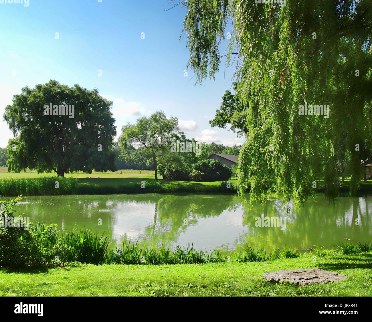Spring Meadows House spring home and meadows Stock Photo - Alamy