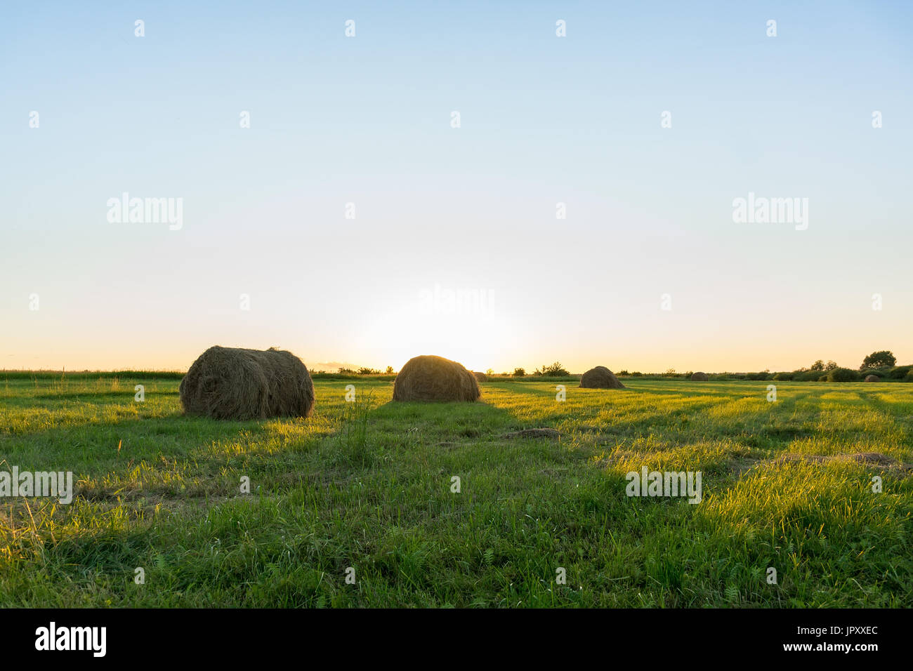 Sheaf of hay on the field at sunset, Tambov region, summer, sunset, evening Stock Photo