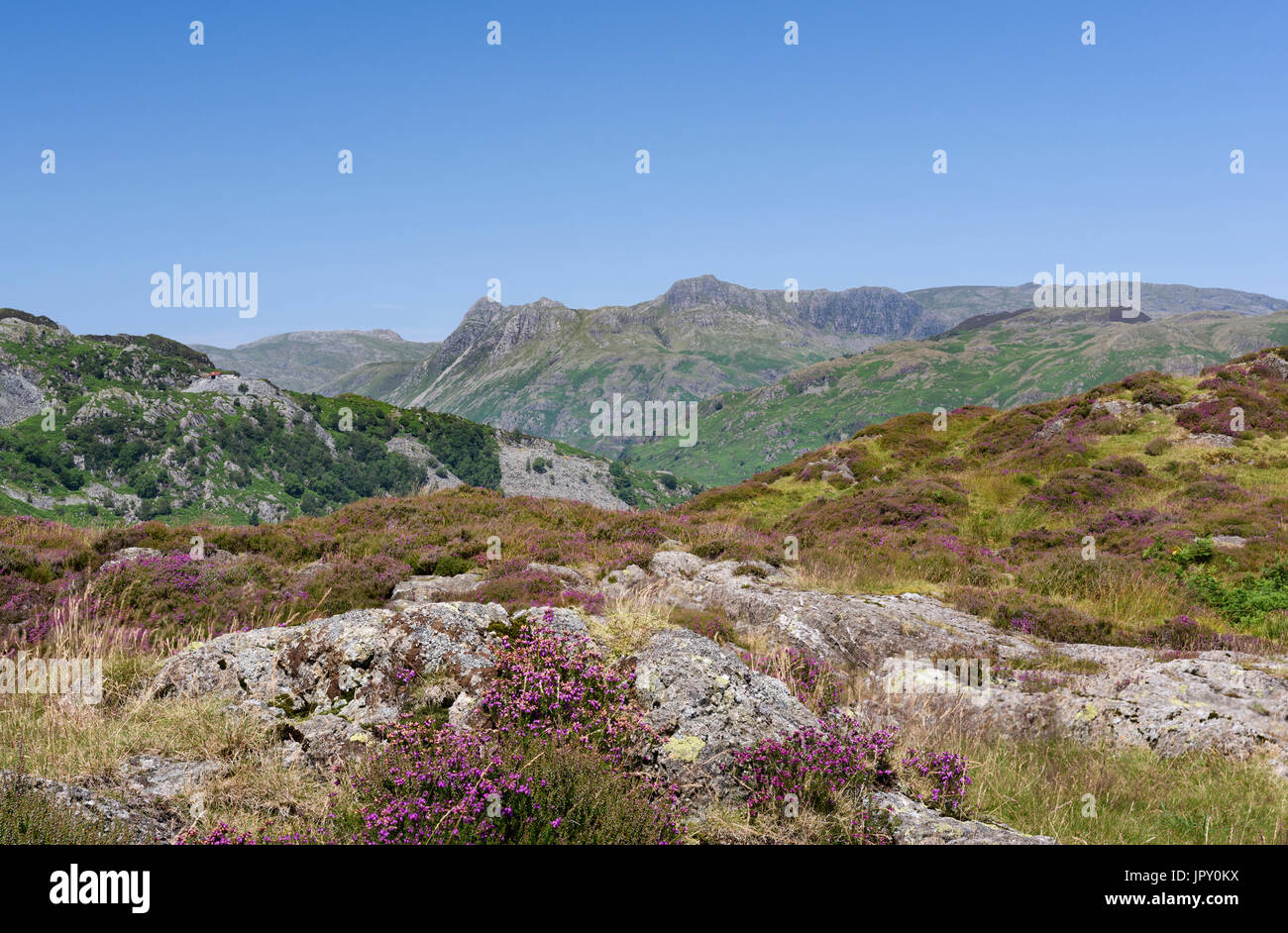 Langdale Pikes landscape from Holme Fell in the English Lake District Stock Photo
