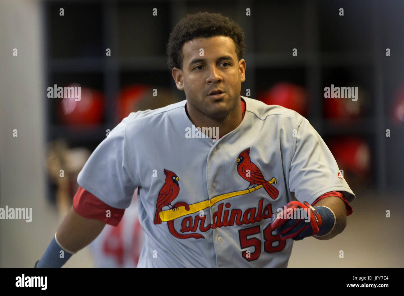 St louis cardinals' mascot hi-res stock photography and images - Alamy