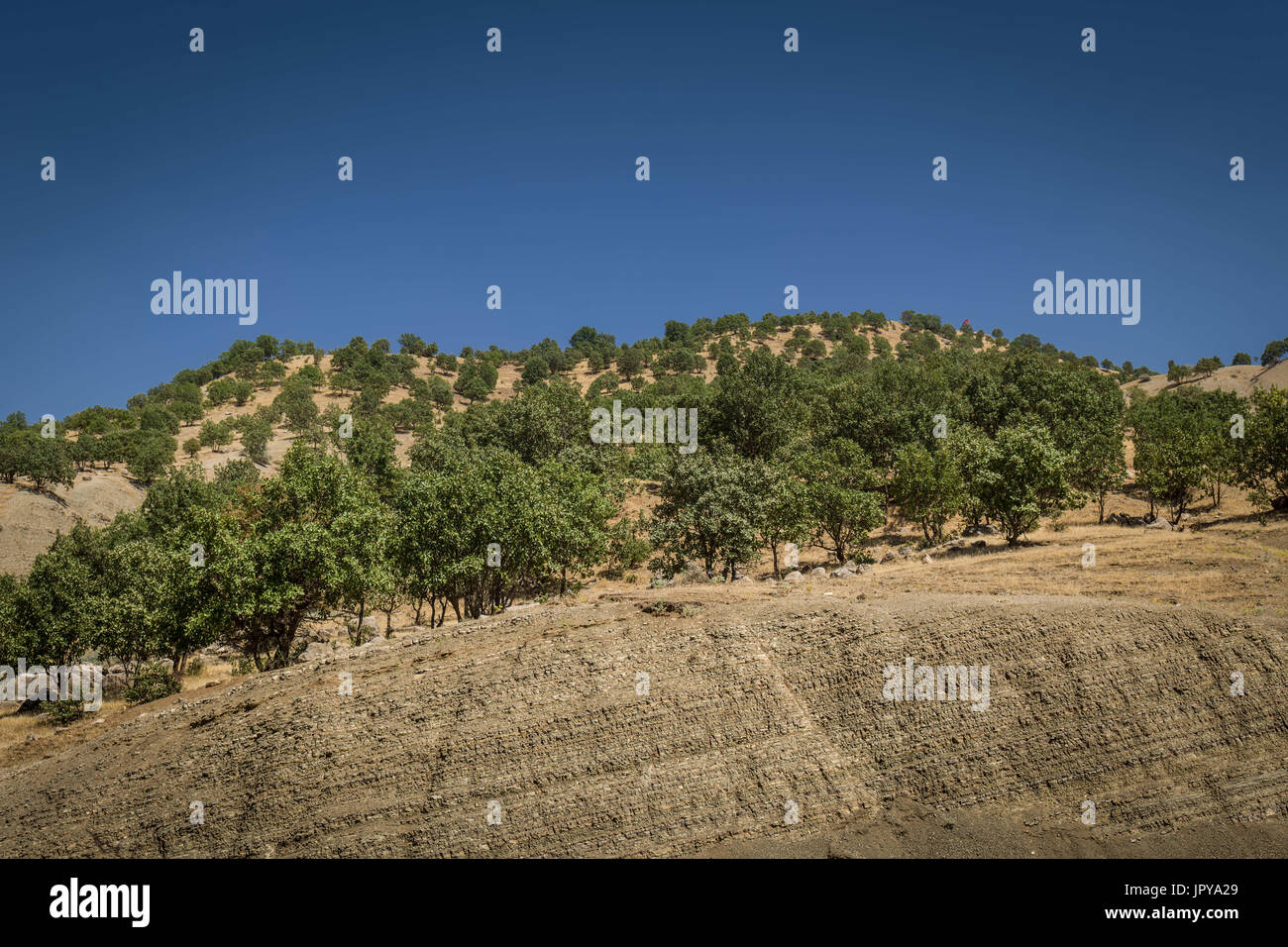 Qandil hires stock photography and images Alamy