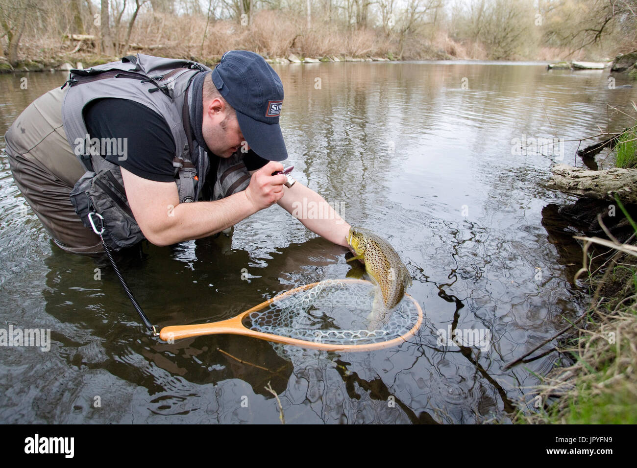 Taking picture of a brown trout Moselle France Stock Photo Alamy