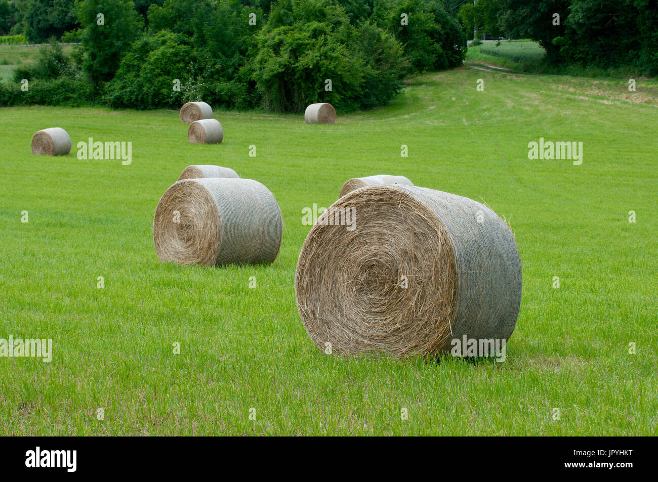 Stacks of straw in a field Stock Photo