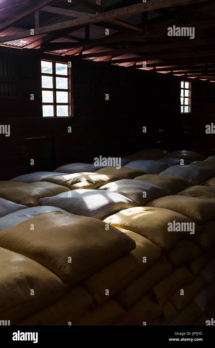 Coffee bean bags Alajuela Costa Rica Stock Photo Alamy