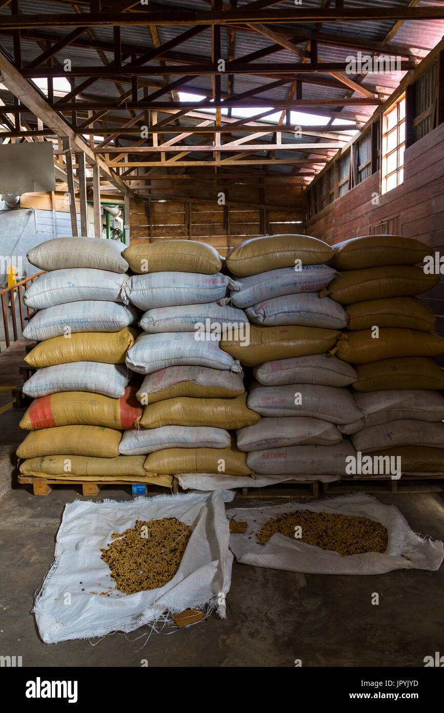 Coffee bean bags Alajuela Costa Rica Stock Photo Alamy
