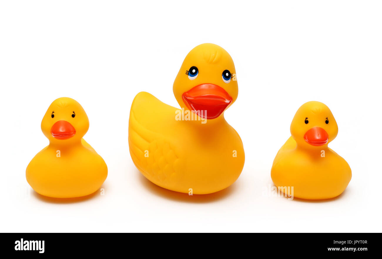 Rubber ducks on a white background Stock Photo - Alamy