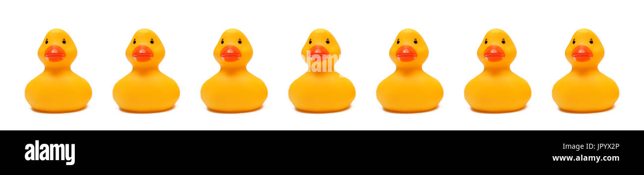 Rubber ducks on a white background Stock Photo
