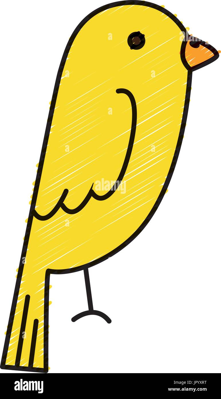 cute bird isolated icon Stock Vector Image & Art - Alamy