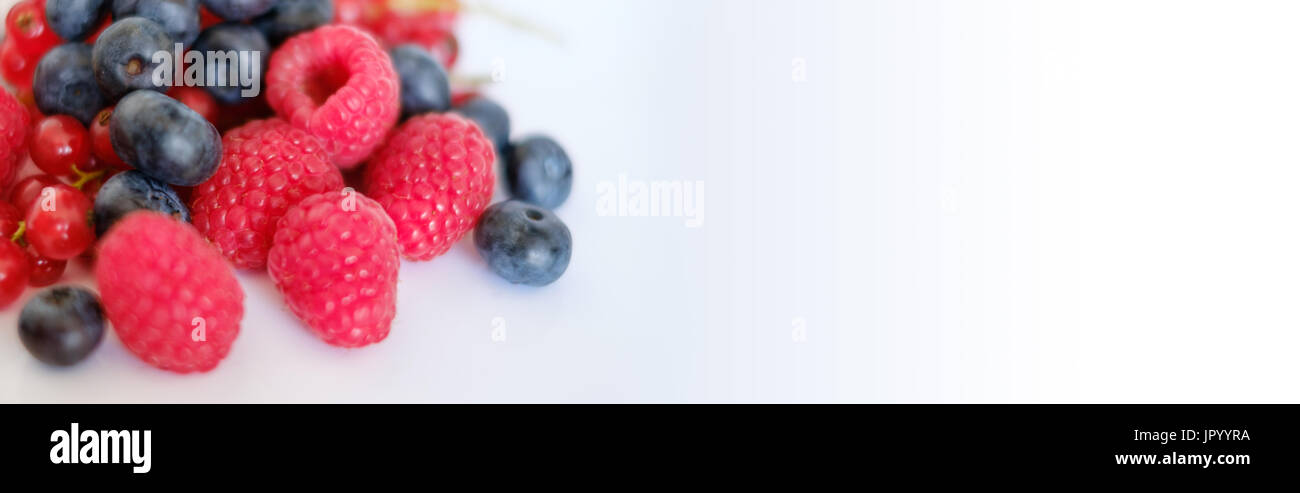 pile of mixed berries - berry fruit closeup Stock Photo