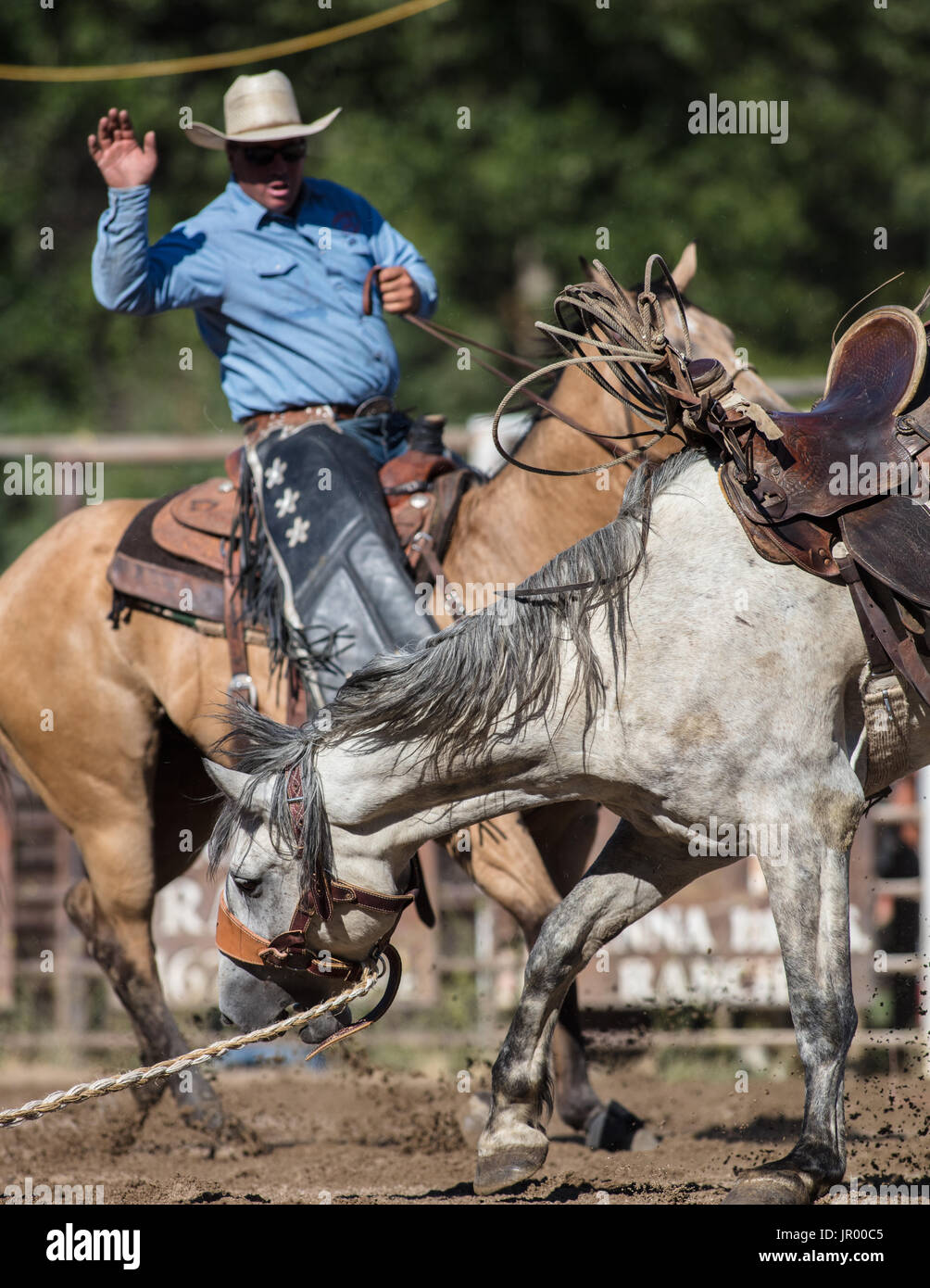 Rodeo action at the Scott Valley Pleasure Park Rodeo in Etna ...