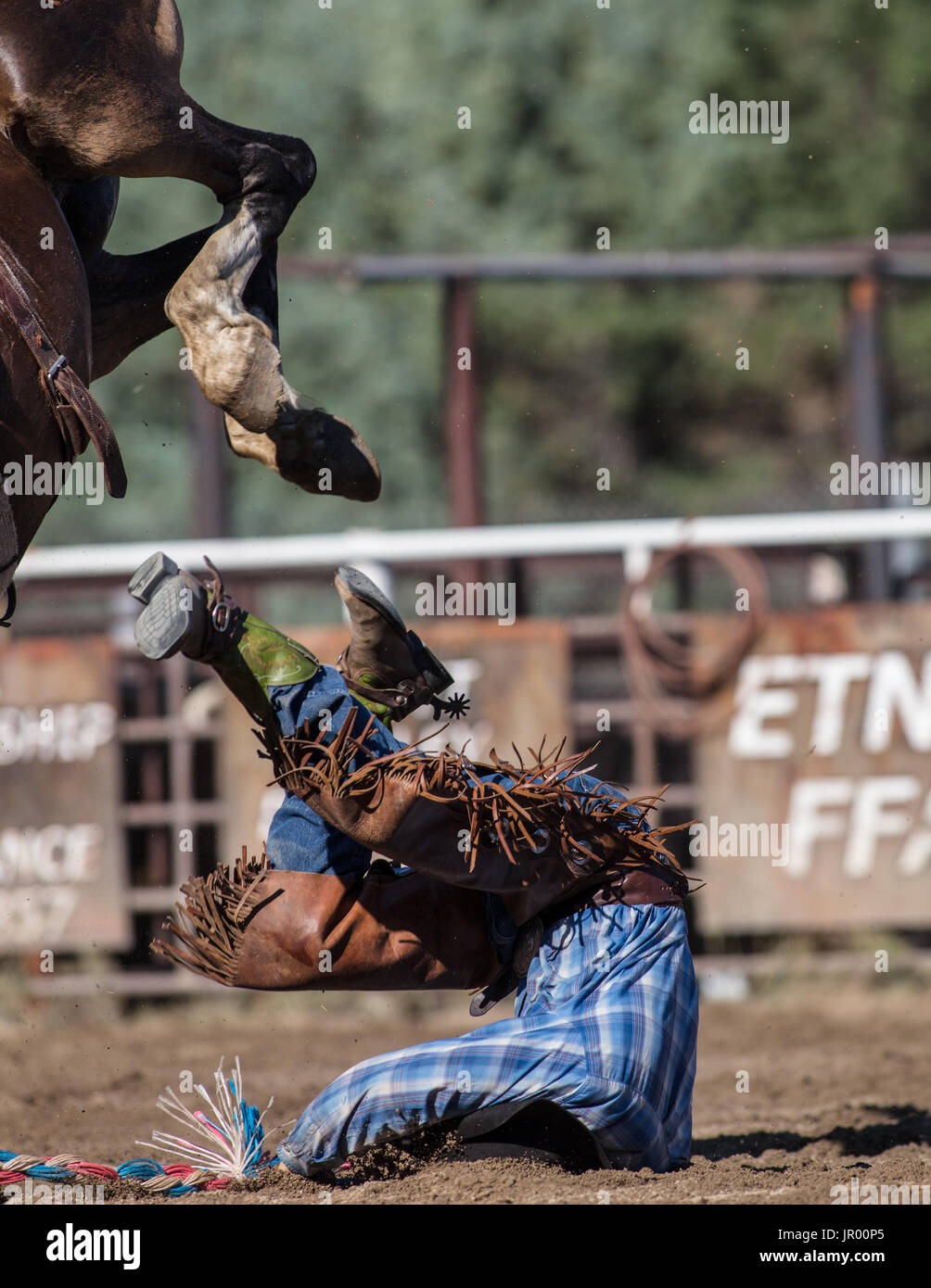 Rodeo action at the Scott Valley Pleasure Park Rodeo in Etna ...