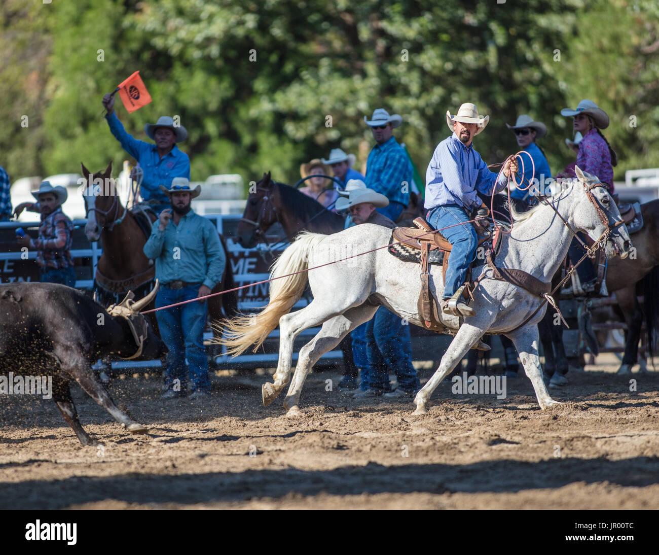 Rodeo action at the Scott Valley Pleasure Park Rodeo in Etna