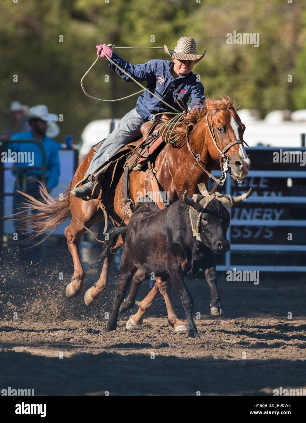 Scott valley pleasure park rodeo hi-res stock photography and images ...