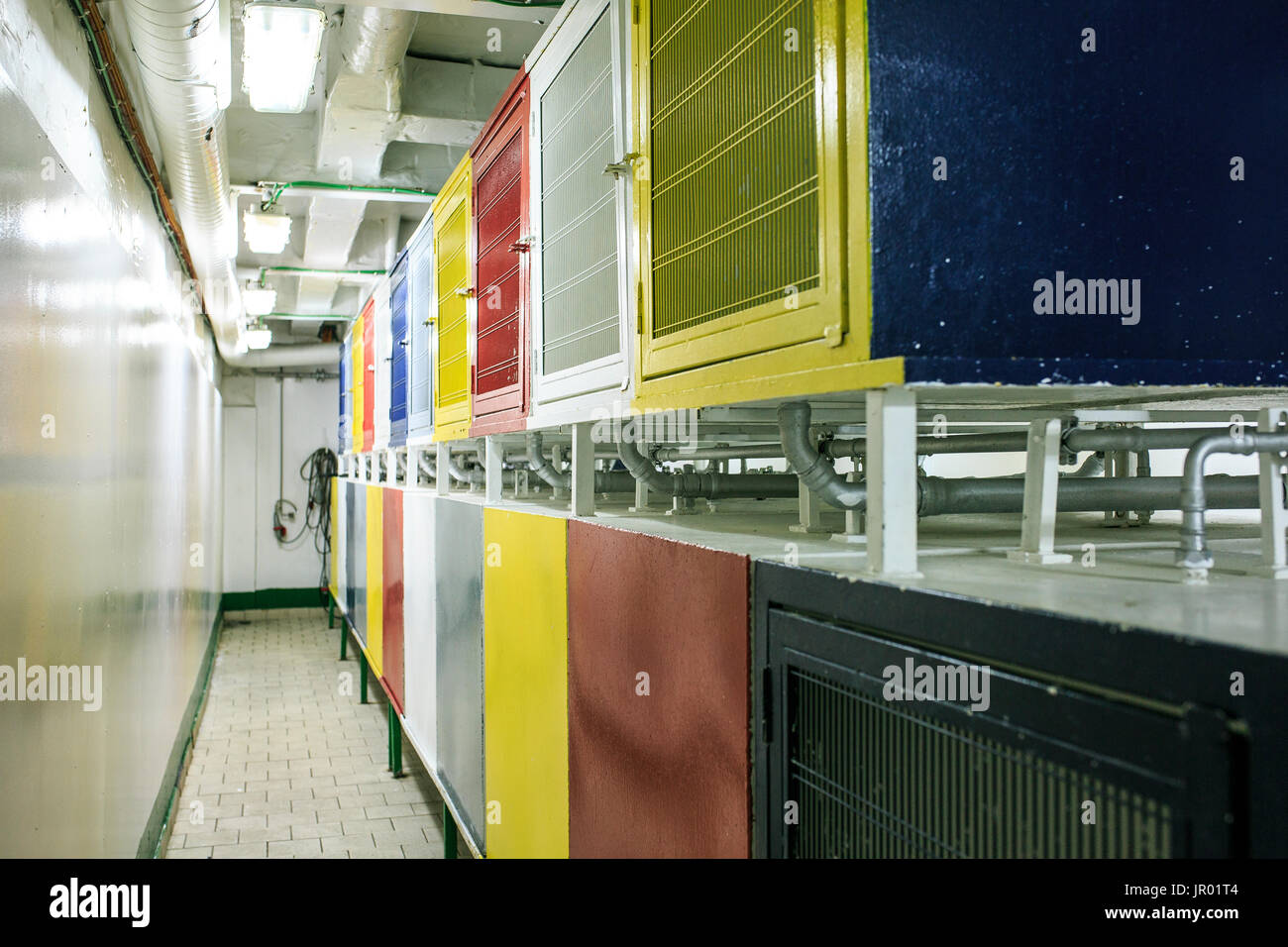 Ridgebacks Bar Dog department hi-res stock photography and images - Alamy