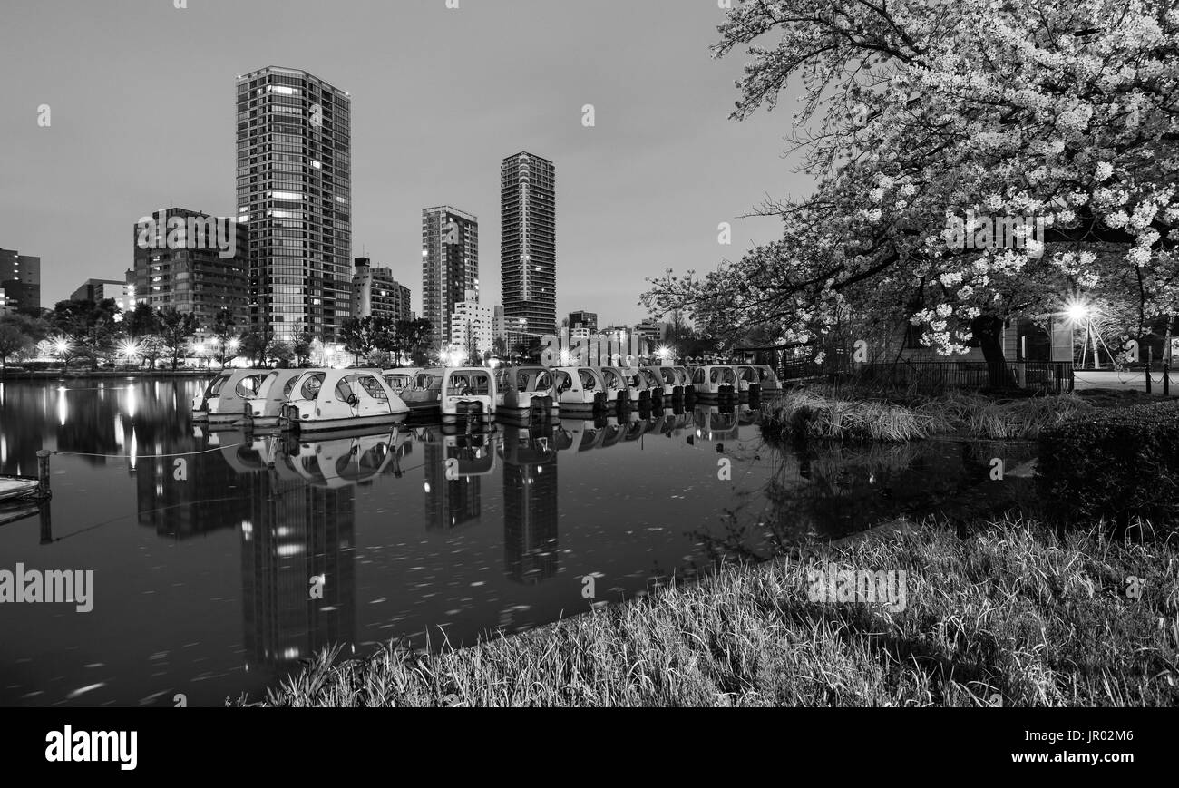 Black and white night scene of the lake and swan boats at Ueno Park in Tokyo, Japan Stock Photo
