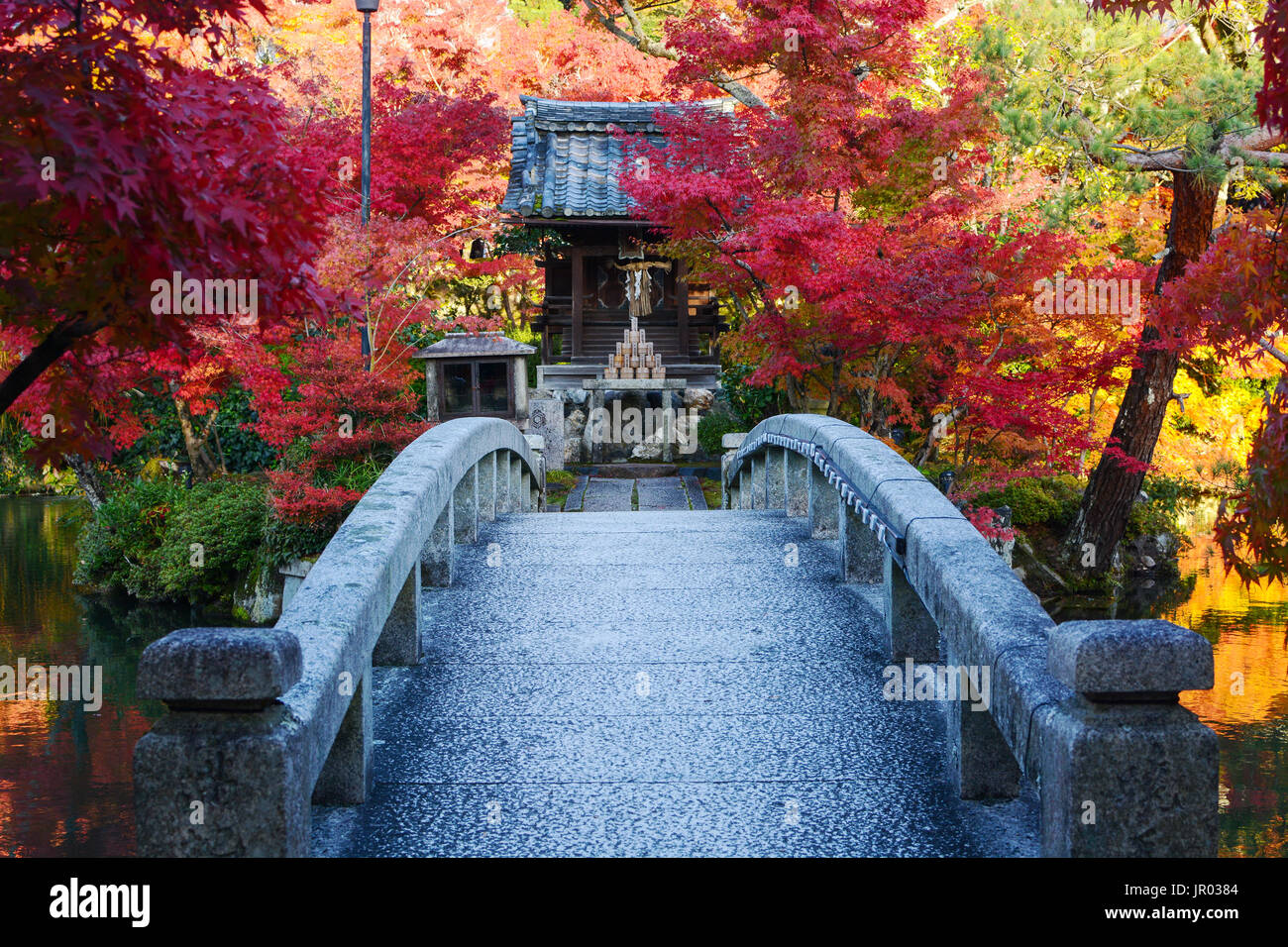 Bridge to a pond island with a small Japanese prayer shrine and red fall maple trees Stock Photo