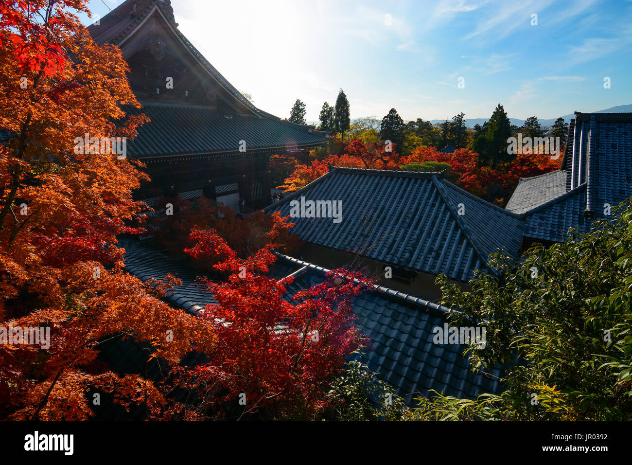 Beautiful japanese temple surrounded hi-res stock photography and ...