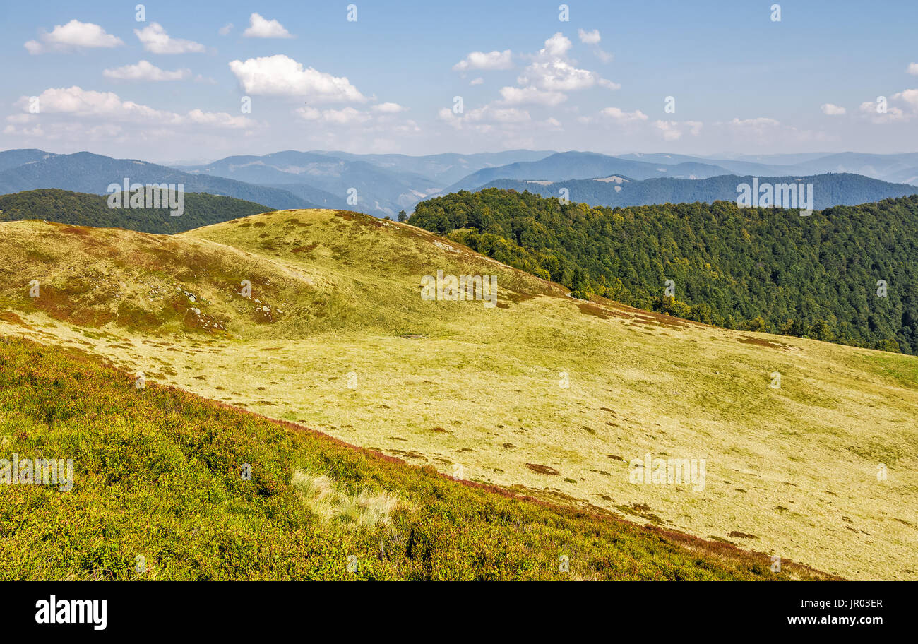 grassy hills of mountain ridge. beautiful nature background Stock Photo ...